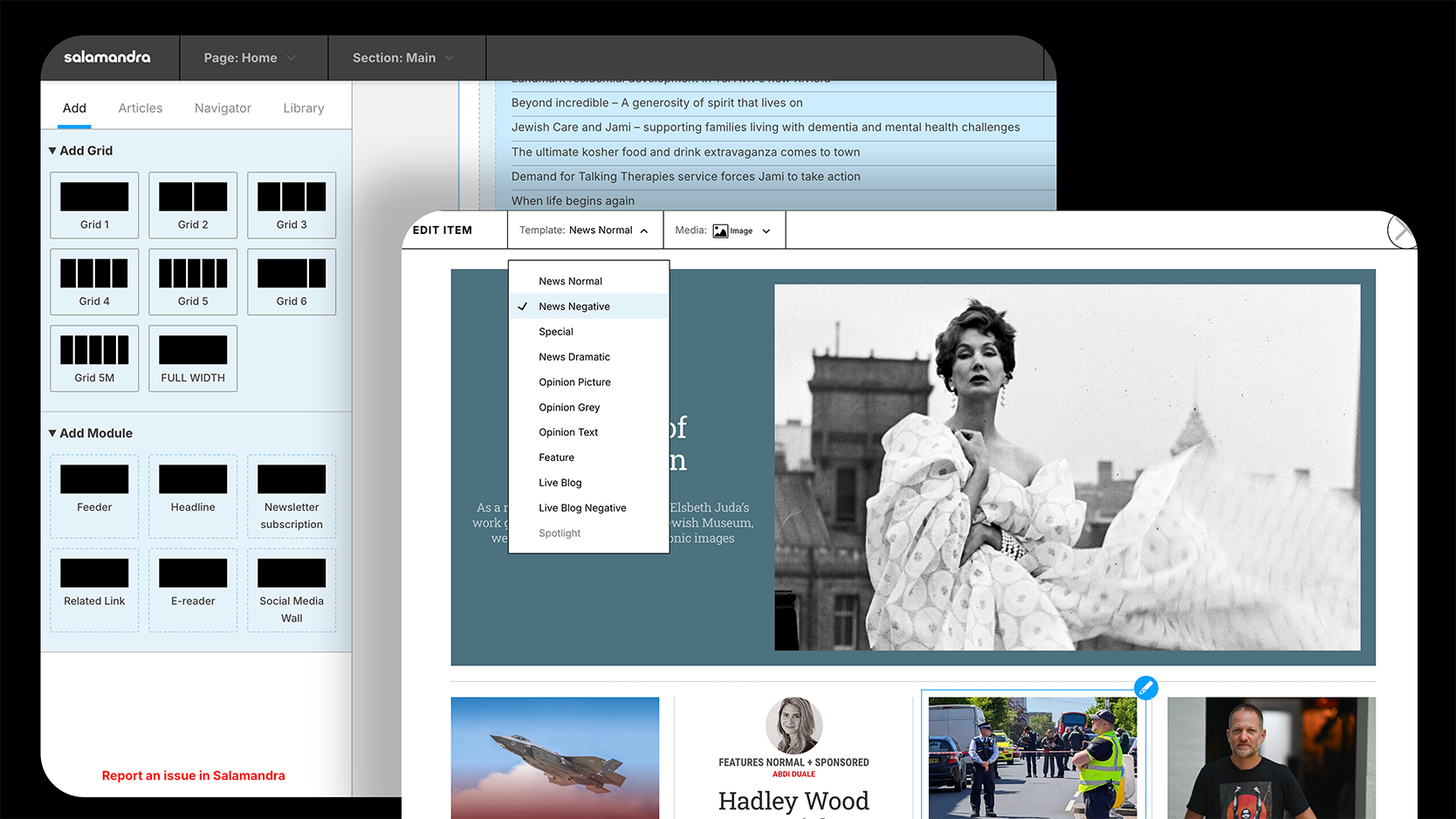 Salamandra – homepage-editing interface